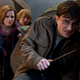 Illustration for article titled Did Harry Potter Influence The Political Views of Millennials?